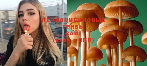 прущий лед Костерёво