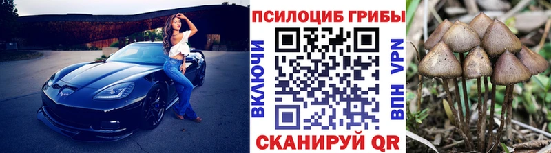 Галлюциногенные грибы Psilocybe  Купить где  Анжеро-Судженск 